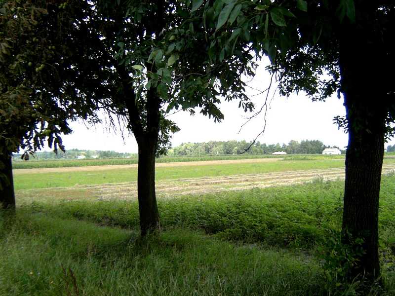 Polish countryside